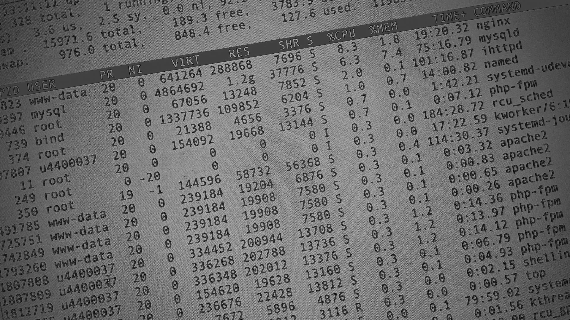 Настройка сервера в Плёсе