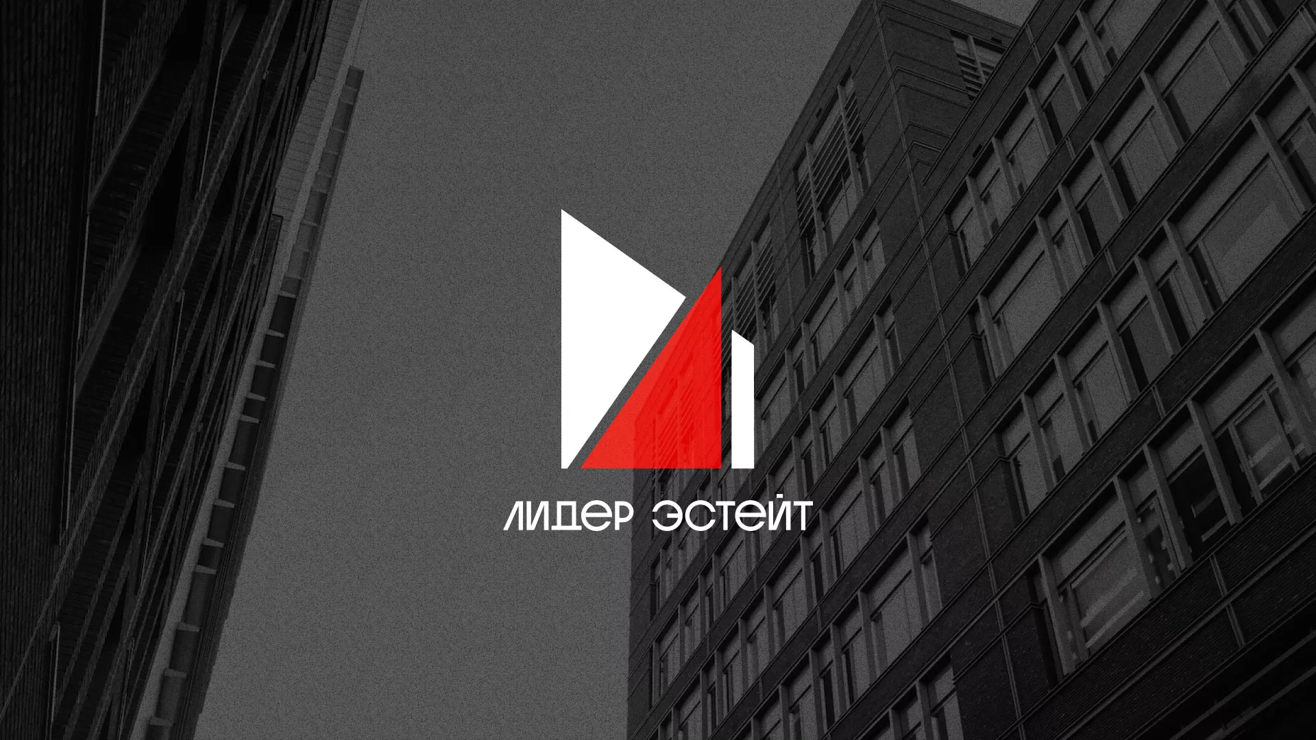 Сделали логотип для агентства недвижимости «Лидер Эстейт» в Плёсе